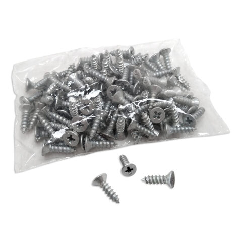 Parafuso Phillips 2,8 x 10mm Bicromatizado - Caixa 100 | Casa Castro - Ideal para Molduraria